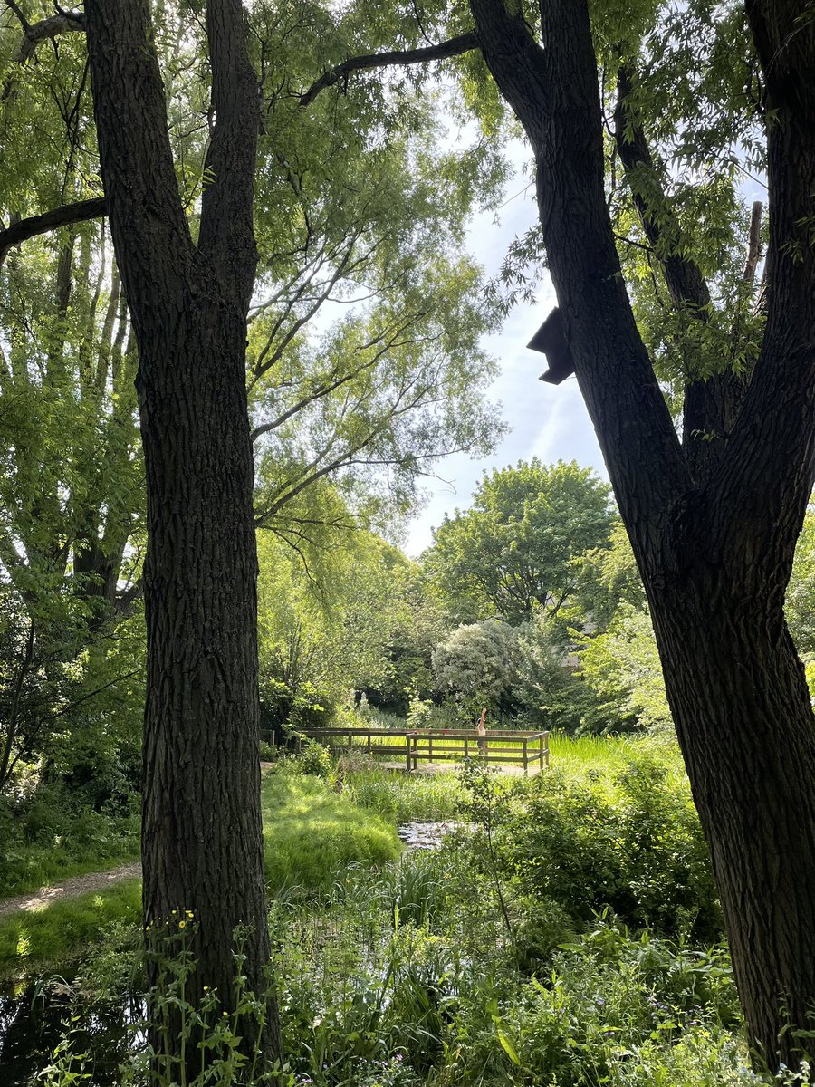 Get outside and enjoy the sun at Meanwhile 🌞 #fouracres #communitygarden #urbantrees #arboretum #ponds #northkensignton 🌿