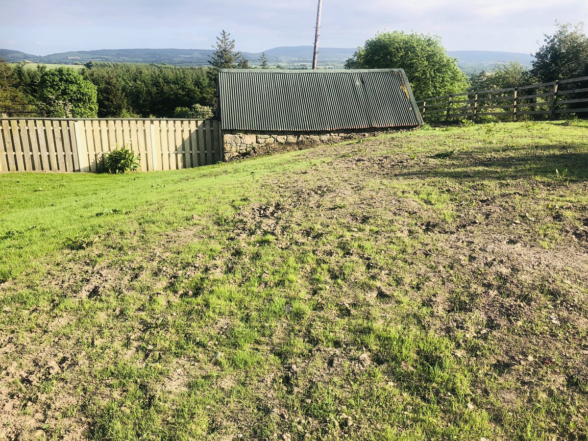 catlowry54's tweet photo. Trying to overseed where I can to have enough grass for rescues as we are just at the start of Summer & things busy.lesson learnt:on left is regular grass seed from Co-Op & on right my grass seed:picture of lovely horses on the bag & lovely wording! 🤦🏻♀️🤣Pat won!#grassisgrass https://t.co/1kSGdXRmr6