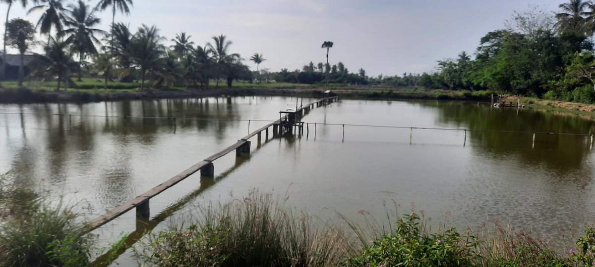 maulidinppb's tweet photo. Kamis (09/02), Maulidin, Luhkan Kab. Aceh Timur, kunjungan 
KLP POKDAKAN Karya Neuhen Bahari Ds. Mtg Rayeuk SMK Kec. Idi Timur.
#GiatLuhkanSatminkalMDN 
#puslatluhkp
#luhlapor 
@brsdmkp https://t.co/t94HsSYZdl