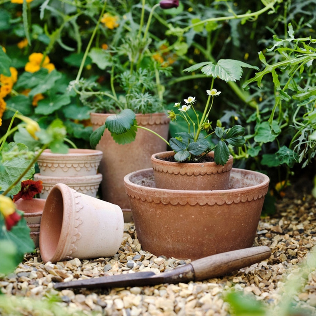 The Great British Garden Festival tweet media