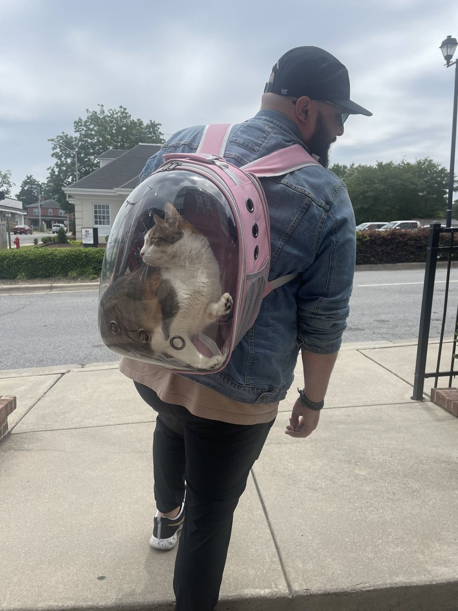 LiveFirstStreet's tweet image. Bringing our hump day Pet Highlight to the grid😝DM us a picture of your pet to be featured! FSP loves all of our furry friends 🐶