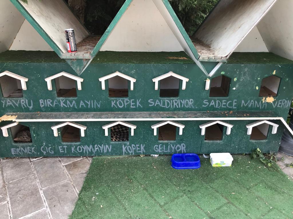 Üsküdar Meydanındaki kedi kulübesine yazılmış not:
"Yavru bırakmayın, köpek saldırıyor."
Bu yüzden kediler, bu kulübelerde kalmıyor ve sokaklarda yavru kedi göremiyoruz.
Çünkü başıboş köpekler sadece çocukları değil, kedileri de öldürüyor!
#ÇözümİTLAF