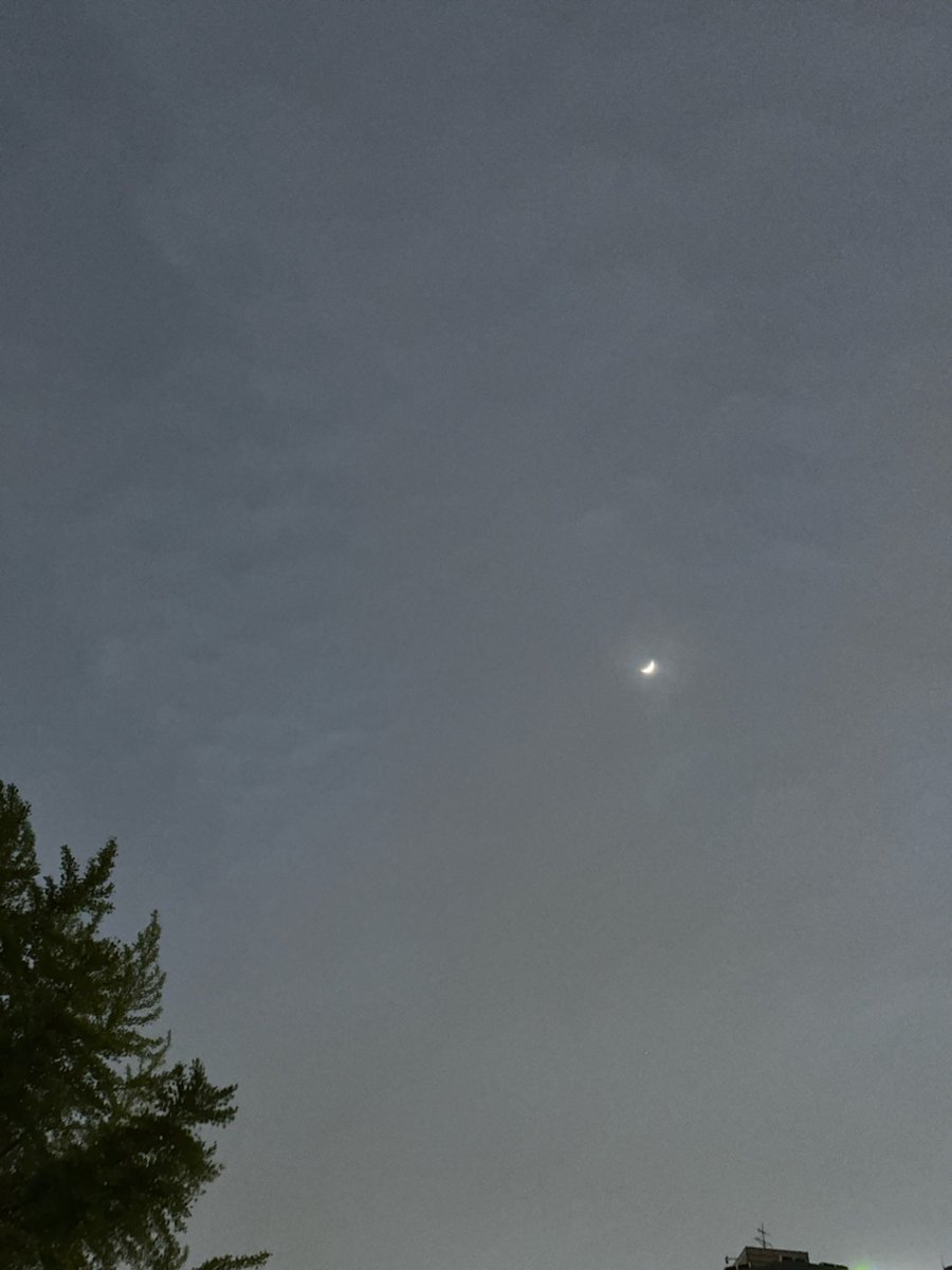 navupdate's tweet photo. [230525] - Umji Bubble Update

[🐹💭]

🐹 : I 
🐹 : I saw the moon!!!!
🐹 : It wasn't quite the same as yesterday

#비비지 #VIVIZ #엄지 #UMJI @VIVIZ_official https://t.co/5AMN7Xyab1