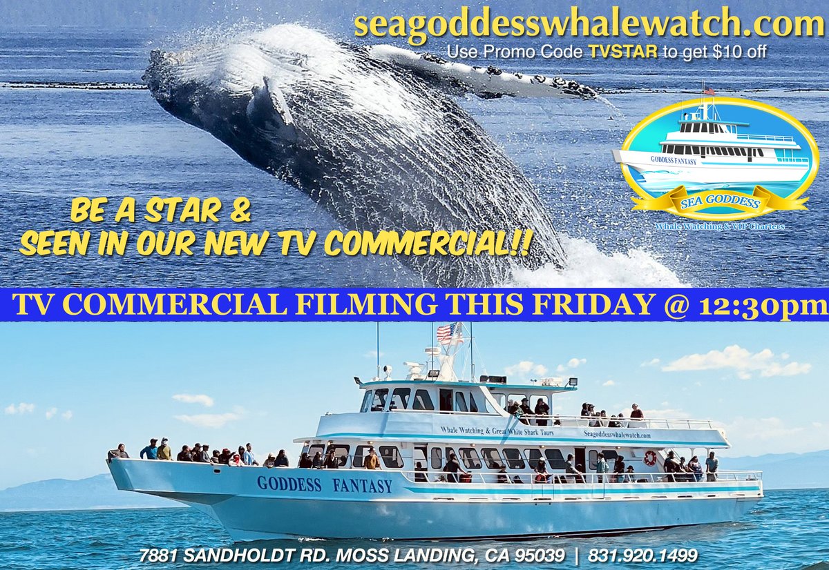 BE A #STAR!  Come join us this Friday May 26th @ 12:30pm &amp; have a chance to be seen in our new #SeaGoddess TV Commercial aboard the #GoddessFantasy...oh and see a few #whales too...
Reserve your spot today: seagoddesswhalewatch.com/book 
use promo code TVSTAR to get $10 off #smile!