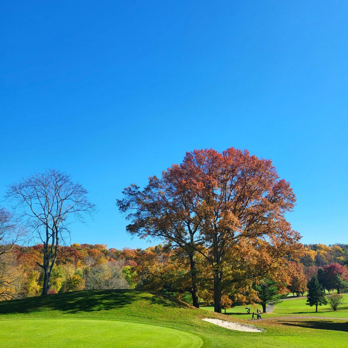 Aileen57498614's tweet photo. Golf is not just a sport, it's a way of life#golfday #whyilovethisgame #golfishard #lovegolf #livetrue #instagolf #golfstyle #golfstagram #golfshot #golflifestyle #golfislife #golfisfun #golfgear #golfer #golfclub #golfaddict #golf #findyourcourse #enjoythewalk #pnwgolf https://t.co/GeoRnN8QWp