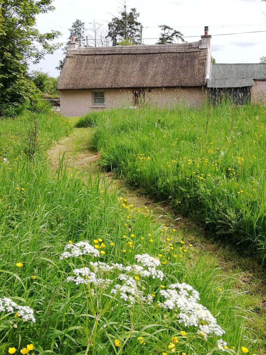 Judy Cassells (@judy_cassells) on Twitter photo Nice to see that more than half the land associated with Killee Cottage, Mitchelstown in Co. Cork is being managed for wildlife. Good thinking <a href="/IrishLandmark/">Irish Landmark Trust</a>. #WildWebsWednesday Nice to see that more than half the land associated with Killee Cottage, Mitchelstown in Co. Cork is being managed for wildlife. Good thinking <a href="/IrishLandmark/">Irish Landmark Trust</a>. #WildWebsWednesday