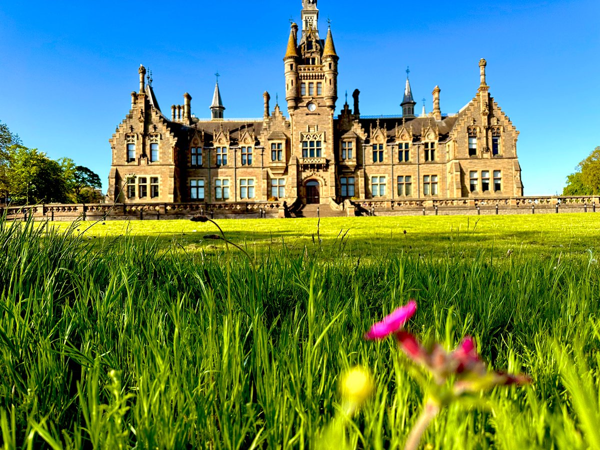 Morgan Academy tweet media