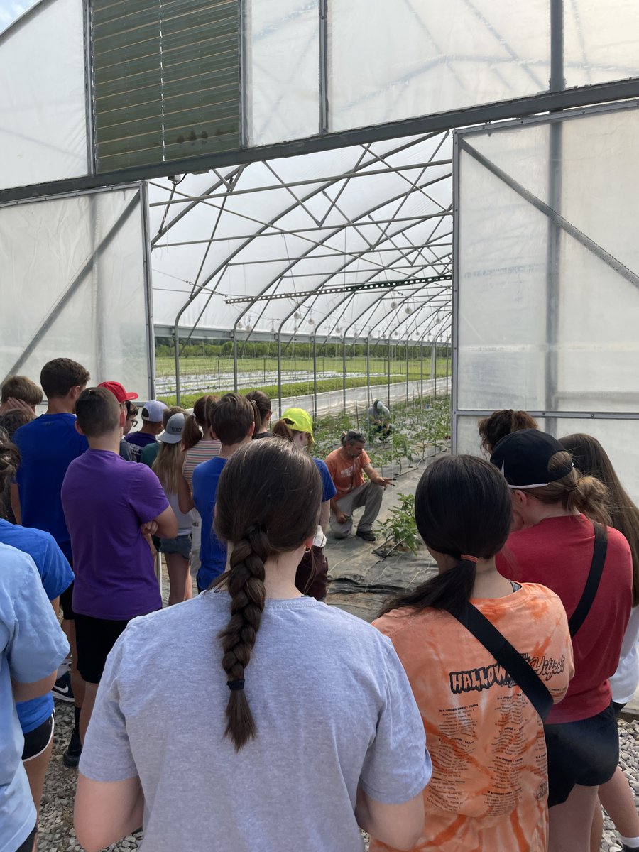 Wilbur_TrimpeMS's tweet photo. 8th Grade IMSA enjoyed a beautiful day at Braeutigam Orchards learning about their crops and retail systems! We even got to sample their famous apple cider slushies and apple cider donuts. #ThisIsTMS #GoEagles https://t.co/cBlzzfrcRH