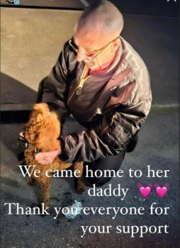 millypod1's tweet photo. LAYLA HOME SAFE. THANKS FOR RT's 😊🐕🐾

🆘19 MAY 2023 #Lost LAYLA #ScanMe #TaggedYOUNG Red Poodle: Miniature Female #Walton #Liverpool #Merseyside #L9  Last confirmed SIGHTING Walton Hall Park around 8am on 21st May. wearing a collar and ID TAG. https://t.co/q5ofGzqT7s https://t.co/ITyjjt25kq