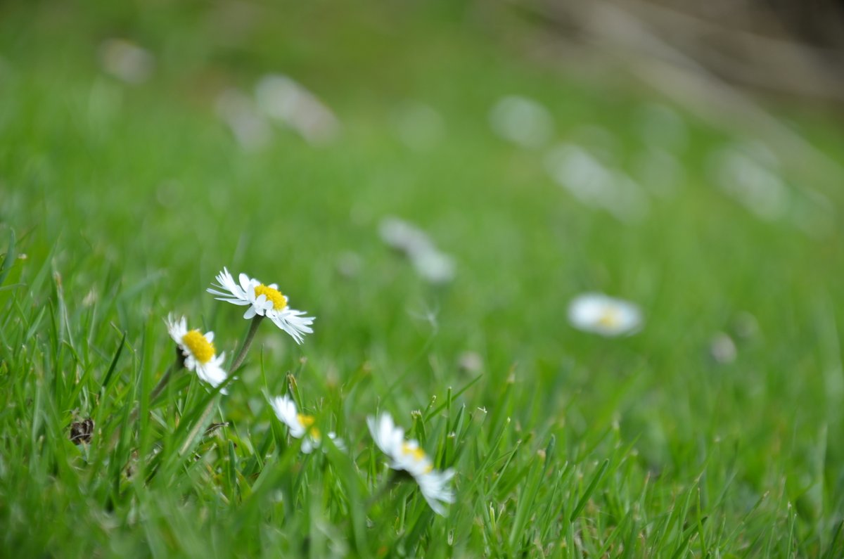 intimates_of's tweet image. We hope you had as beautiful day today as we did 🫶
onlyfans.com/intimates
#onlyfans #daisy