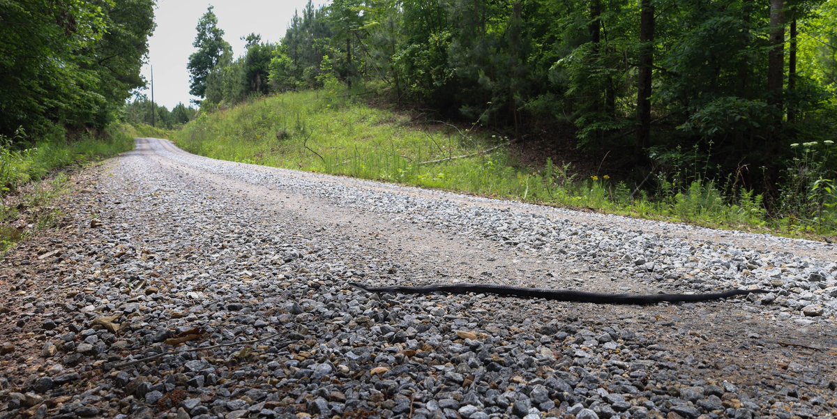 NKFherping tweet media