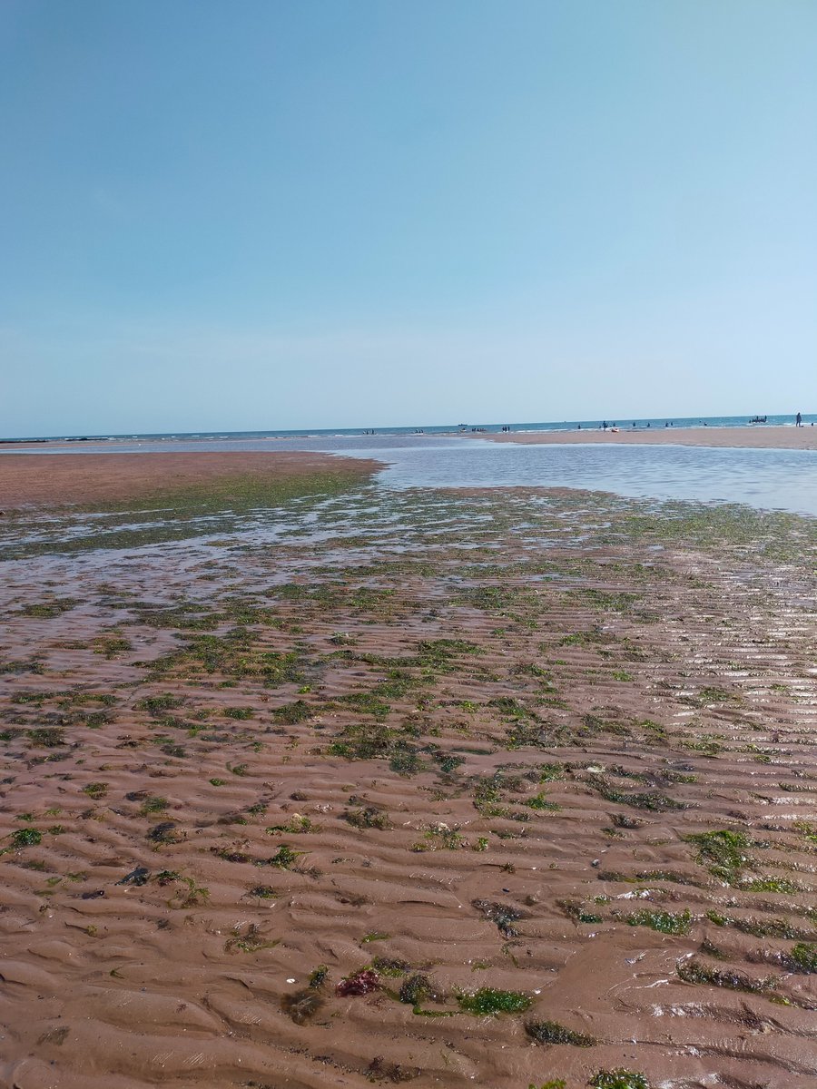elaineccline's tweet photo. We had a lovely time at #OrcombePoint #Exmouth
It was like being in the med.
π https://t.co/rLfLMnSE7U