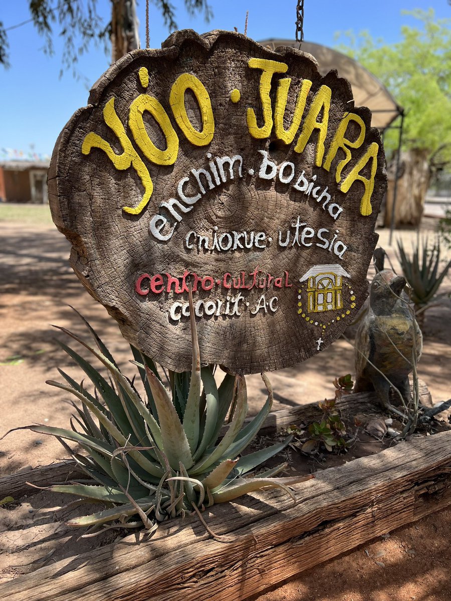 mochilerostv's tweet photo. ¡Cuánto he aprendido sobre la cultura yaqui en Yo’o Juara! 

📍 Cócorit

#TravelPopUpSONORA 🏜️🌵#México #Sonora https://t.co/A4VmW6NyuI