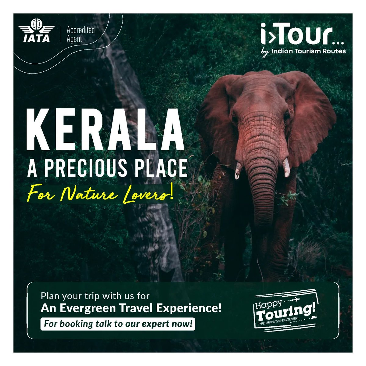 Hey Nature Lovers! Here is your next to-go destination.
Call Now | +91 93840 00347

#itour #indiantourismroutes #kerala #keralatour  #honeymoonpackages #gdbrandcreative