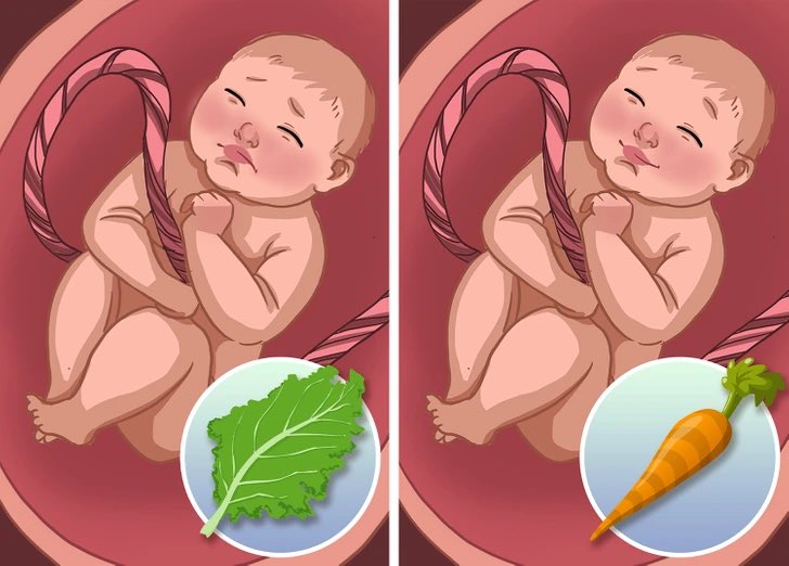 SnugglyBabies's tweet photo. A fetus’s ability to understand flavors begins to form at 8 weeks of gestation, that’s when their taste buds form. They swallow between up-to 4 cups of amniotic fluid daily,that’s where all the flavors from the mother’s diet come from. #babydiet #fetus #snugglybabies #pregnancy https://t.co/3nNv4ypjju