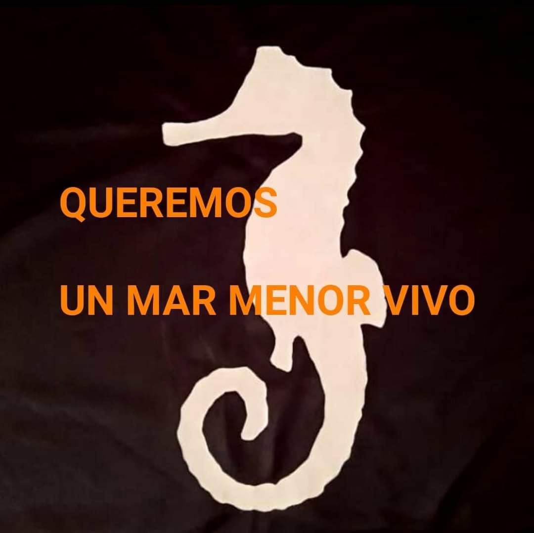 Sin la 'muerte política' de los que hacen oídos sordos, de nada vale gritar por un #MarMerorVivo
🗳️ #LosPecesNoPuedenVotarTuSi
#SOSMarMenor