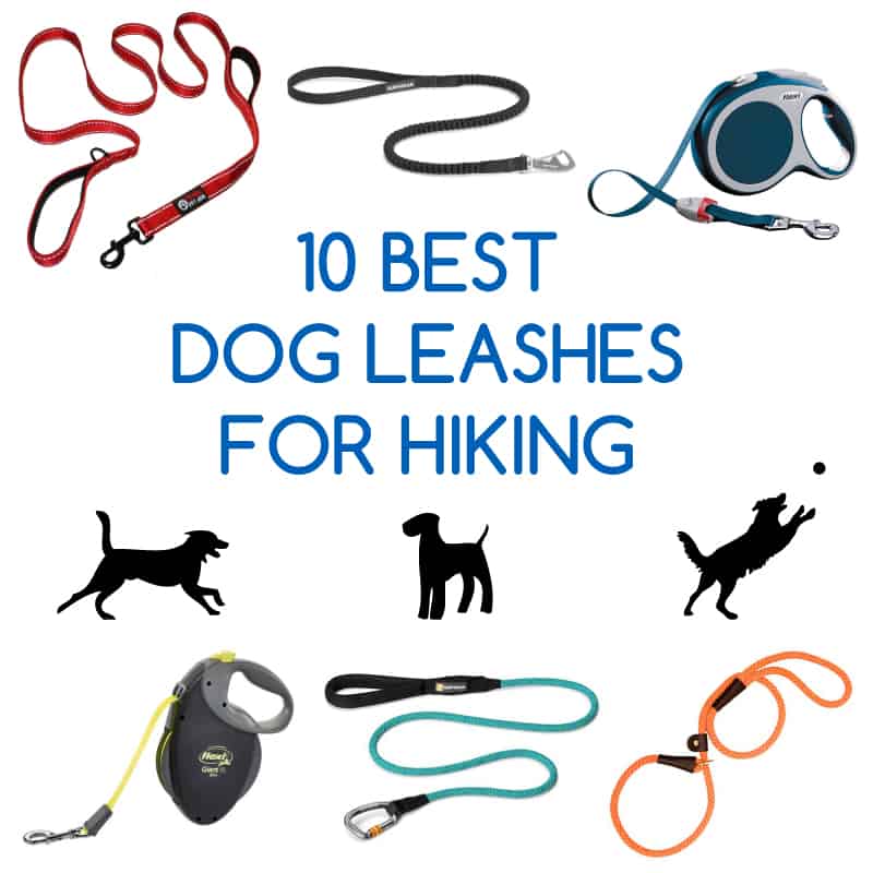 GearAssistant's tweet photo. https://t.co/OxRlWq4uRy hiking with your best friend easier with our list of the top 10 dog leashes for hiking in 2023! #HikingWithDogs #OutdoorAdventure https://t.co/pjWGSVD9oq