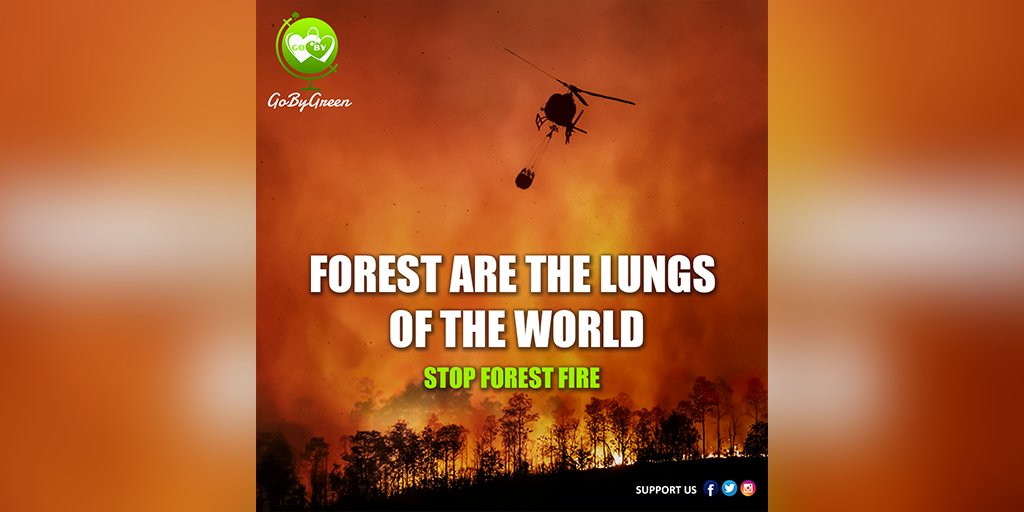 Stop Forest Fire!

#GoByGreen #gobygreenoff #GoByHolidays #gogreen #forestfire #wildfire #fire #forest #firefighter #nature #wildfires #wildlandfirefighter #climatechange #fireseason #firefighters #firefighting #wildland #forestfires #wildlandfire #smoke #wildlandfirefighting