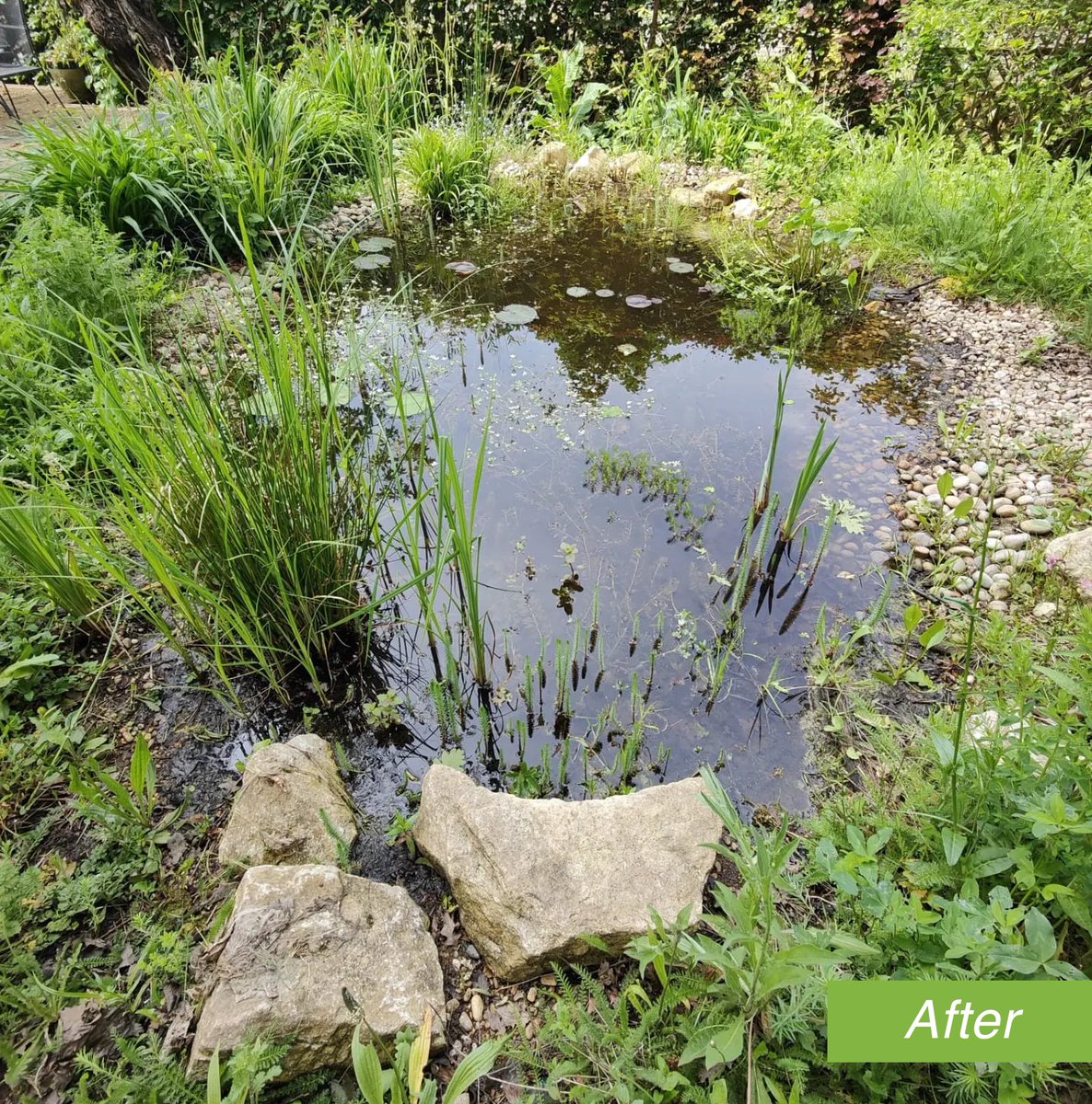 Landscaping Solutions tweet media