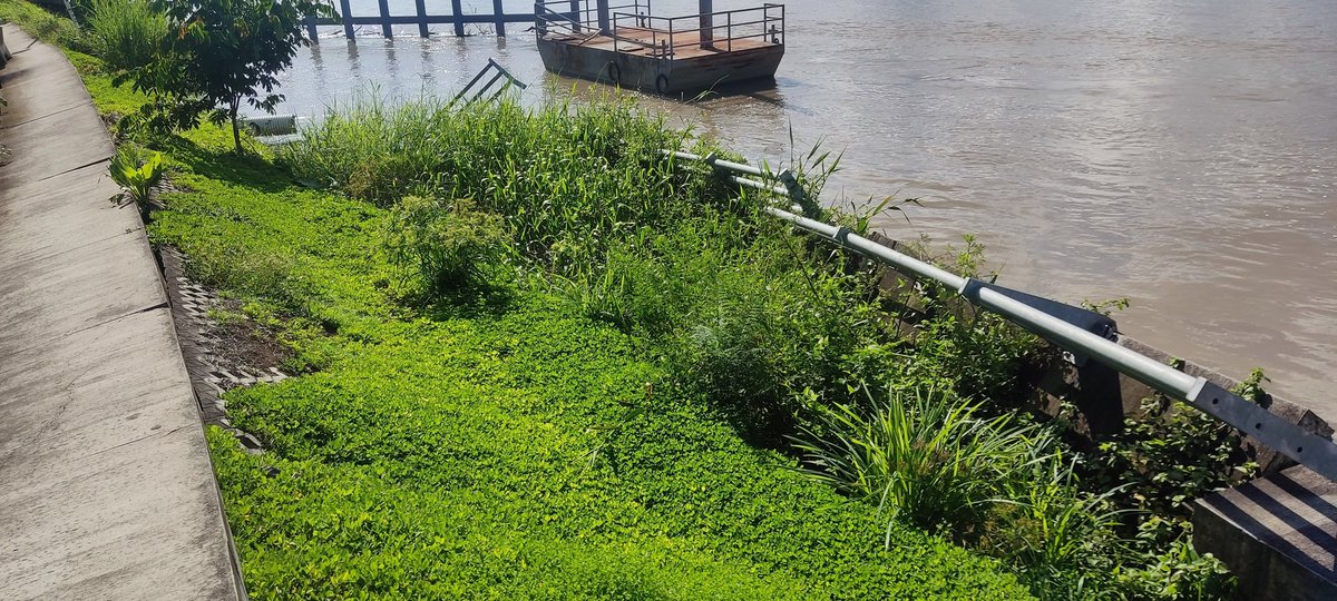 guchorumbero's tweet photo. Señor presidente @LassoGuillermo el cantón Aguarico también necesita atención, un muelle construido en la parroquia Nuevo Rocafuerte construido por el @ObrasPublicasEc se cae en pedazos y nadie hace nada. El costo fluvial es de 70 dólares ida y vuelta, quien puede vivir así ? https://t.co/uE3sJhFzPr