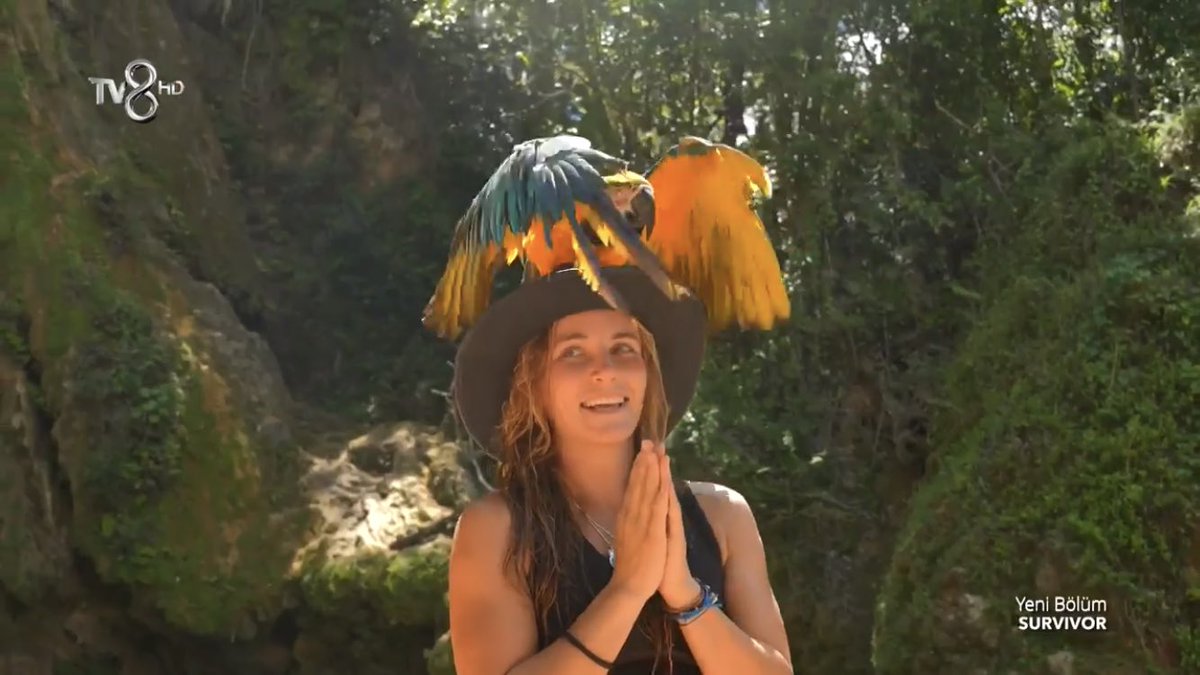 MuzikveTV's tweet photo. Cansu mu daha tatlı yoksa papağan mı karar veremiyorum bir türlü. 😍

#Survivor2023 https://t.co/XoNv23Fruy