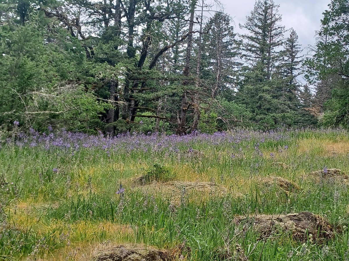 Hey, I just scheduled four guided #nature #hikes in the #PNW (coast and #Portland)! Register at eventbrite.com/o/rebecca-lexa… and come explore with me! RT OK

#hiking #outdoors #OutdoorRecreation #tourism #ecotourism #Oregon #Washington