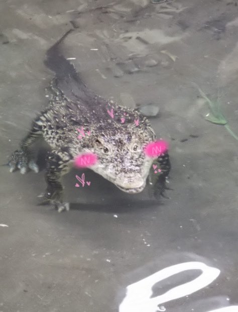 strange_fl0wer's tweet photo. @wario_car THANK YOU GIROOO https://t.co/RUUdvLLQI6