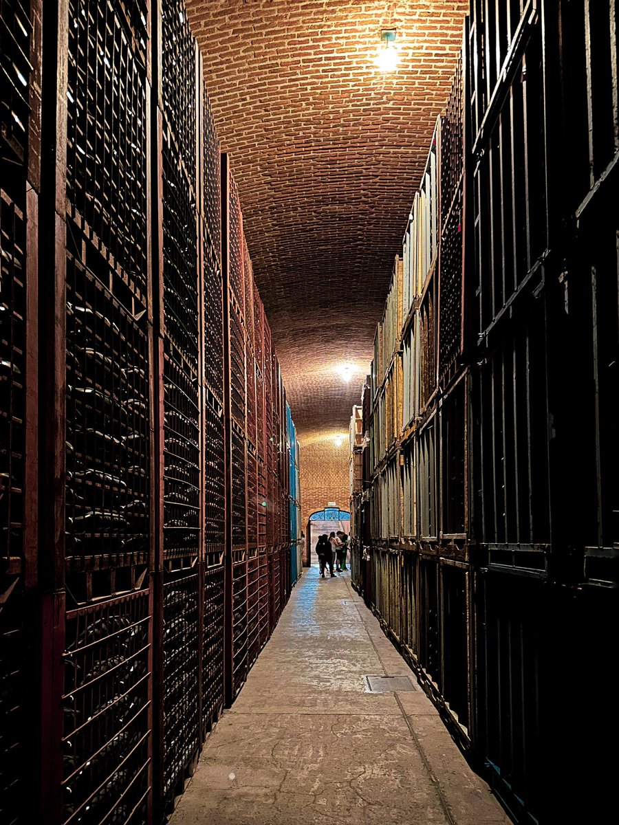 <a href="/FreixenetMexico/">Sala Vivé - La Casa del Espumoso Mexicano</a> 🥰