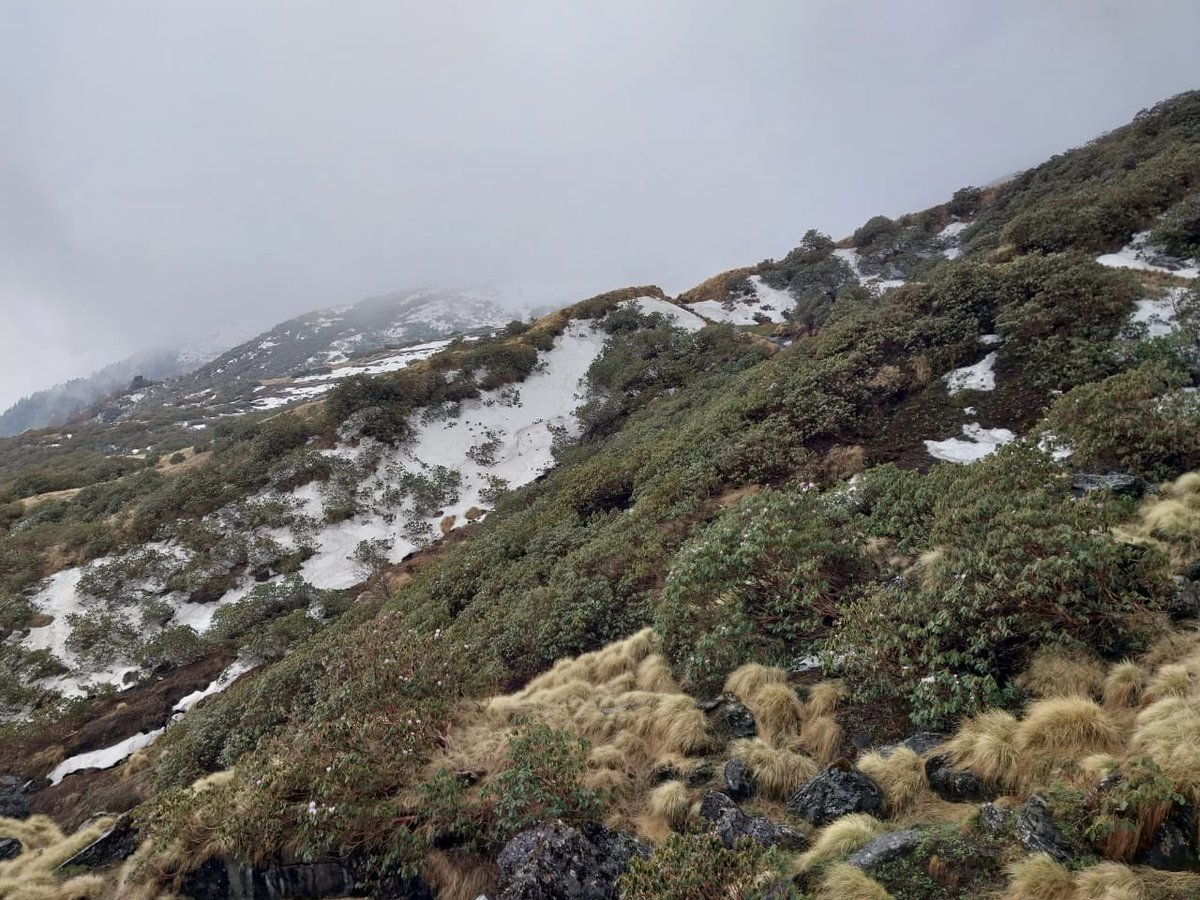 wii_india's tweet photo. Day 7th of #18thMSc Batch High Altitude Tour. Students trekked to Rudranath through Panchganga pass #mscwii @BS_ADHIKARI @Himalayanwolf1 @vrtiwari1 https://t.co/fnZ7ZmNt4z