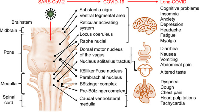 🚨 An update with references.

An Urgent Update to the Global Demyelination Epidemic Hypothesis – Sudden Deaths/Long COVID explained?

The WHO website itself shows that COVID Vaccination can induce MS/AI against Myelin.

wmcresearch.substack.com/p/an-urgent-up…