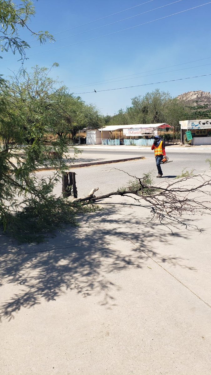 Ing. Orlando tweet media