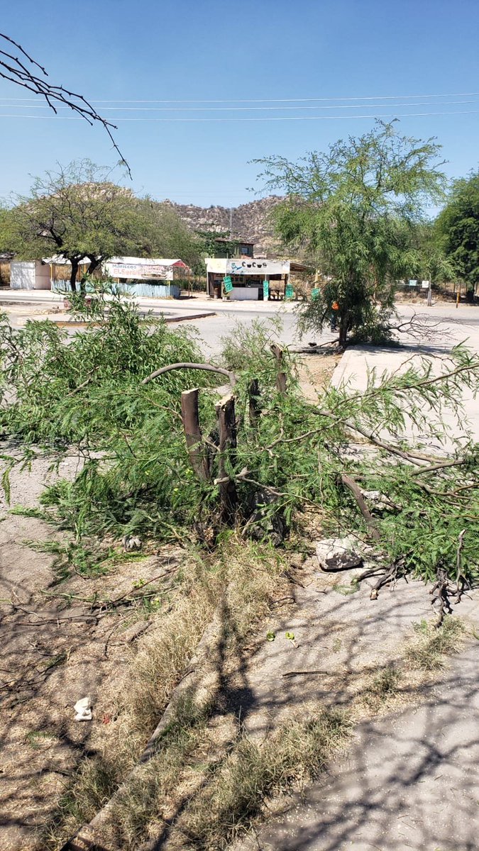 Ing. Orlando tweet media