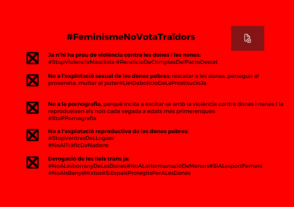 ConfluenciaMF's tweet photo. Si al teu municipi o a la Comunitat Autònoma NO es presenta cap candidatura que lluiti pels drets de les dones, proposem el #VotNulFeminista https://t.co/aAzJuEyU3c