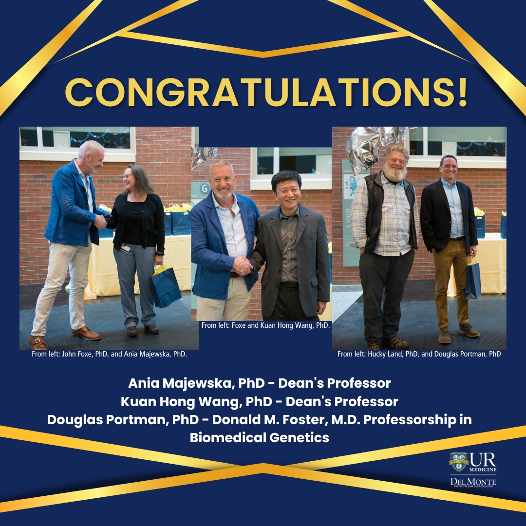 🎉Congratulations to our faculty members Ania Majewska, Kuan Hong Wang, &amp; <a href="/doug_p/">Doug Portman 🐛🏳️‍🌈🧬 @dougp.bsky.social</a> on their recent appointments to named professorships!
<a href="/URochester_SMD/">URochester SMD</a> <a href="/URMCBMG/">URMC Dept of Biomedical Genetics</a> 
#URochesterResearch

More about their research🧵⤵️ (1/4)