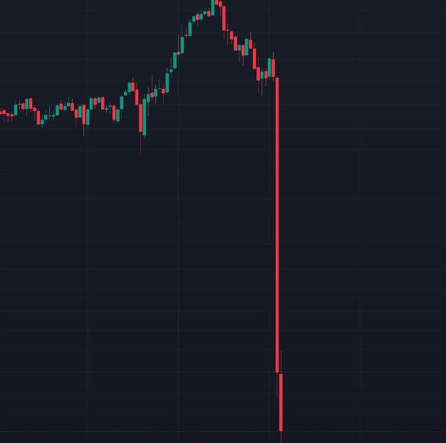 Crypto Rover tweet media