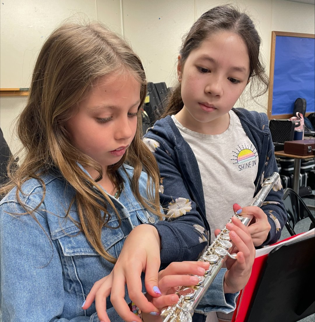 Third graders at #Sawmill are getting ready to choose an instrument to play next year and learning about singing in chorus! They visited the fifth grade musicians during their music classes for the annual 'Meet the Instrument Fair.'
#MackMusic #PlayAnInstrument #CommackSchools