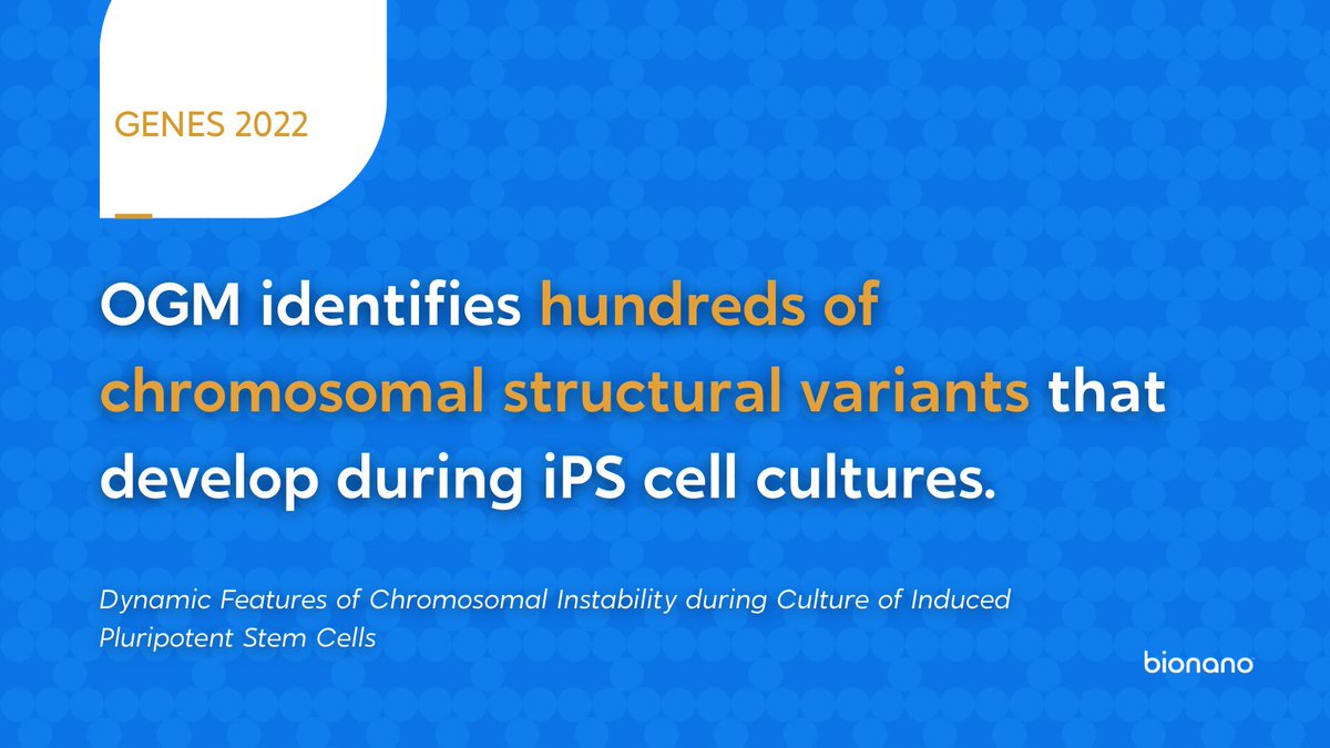 bionano's tweet photo. Are induced pluripotent stem cells (iPSCs) safe for therapy? #stemcells

A study investigated the impact of cell culture on the genomic integrity of #iPSCs using #opticalgenomemapping to identify/classify chromosomal variations. 

What did they find? https://t.co/wkhupPJOAH https://t.co/On2xvFvoUE