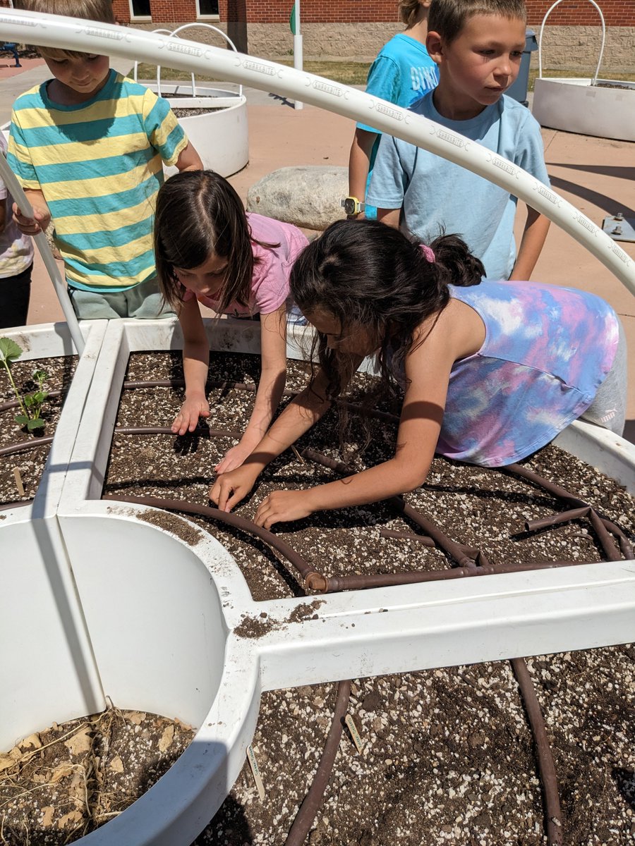 PSD_RiceElem's tweet photo. How does our Learning Garden grow? With the help of our Raptor Nation! Every grade level helps in some way: amending the soil, planting, watering, and making signs! #RiceTogetherWeSOAR #PSDProud https://t.co/WS4wz7emYr