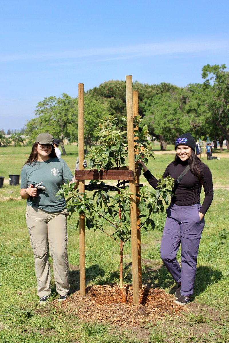 OurCityForest's tweet photo. Join OCF for the last 2 plantings of the season! We will be planting at N. San Pedro on 5/27 and at Coyote Rd with @CoyoteCreekSJ on 6/3 🌱🌳

Sign up for 5/27: https://t.co/BWEsezUPaT

Sign up for 6/3: https://t.co/JjnLwoQqOZ

For additional events, visit https://t.co/vNM1BmVezC https://t.co/RyxpTBlQ3j