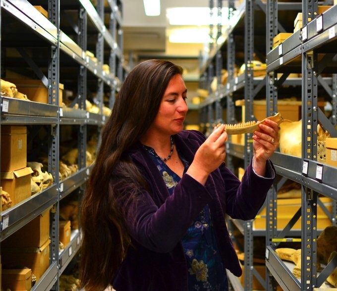 Anthro_wwu's tweet photo. Give Day is tomorrow 5/25. Support faculty research! This issue of WWU Window magazine features an article on Professor Monson's research. https://t.co/TdjirXDzt9 #WWUGiveDay #WWU #anthropology https://t.co/2vouQnqWCk