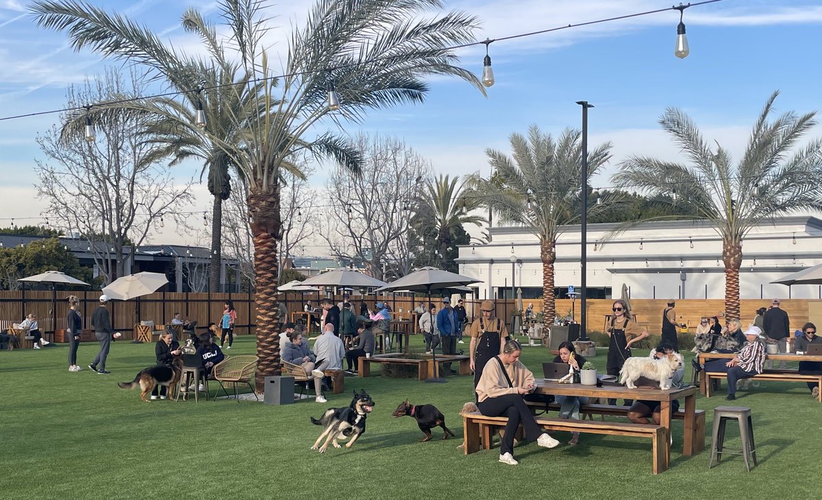 $BXP amenities help #RTO #ReturnToWork in #SantaMonica. Meet dogppl.co
encouraging Bring Your Dog to Work, Pet Friendly workplace strategy.