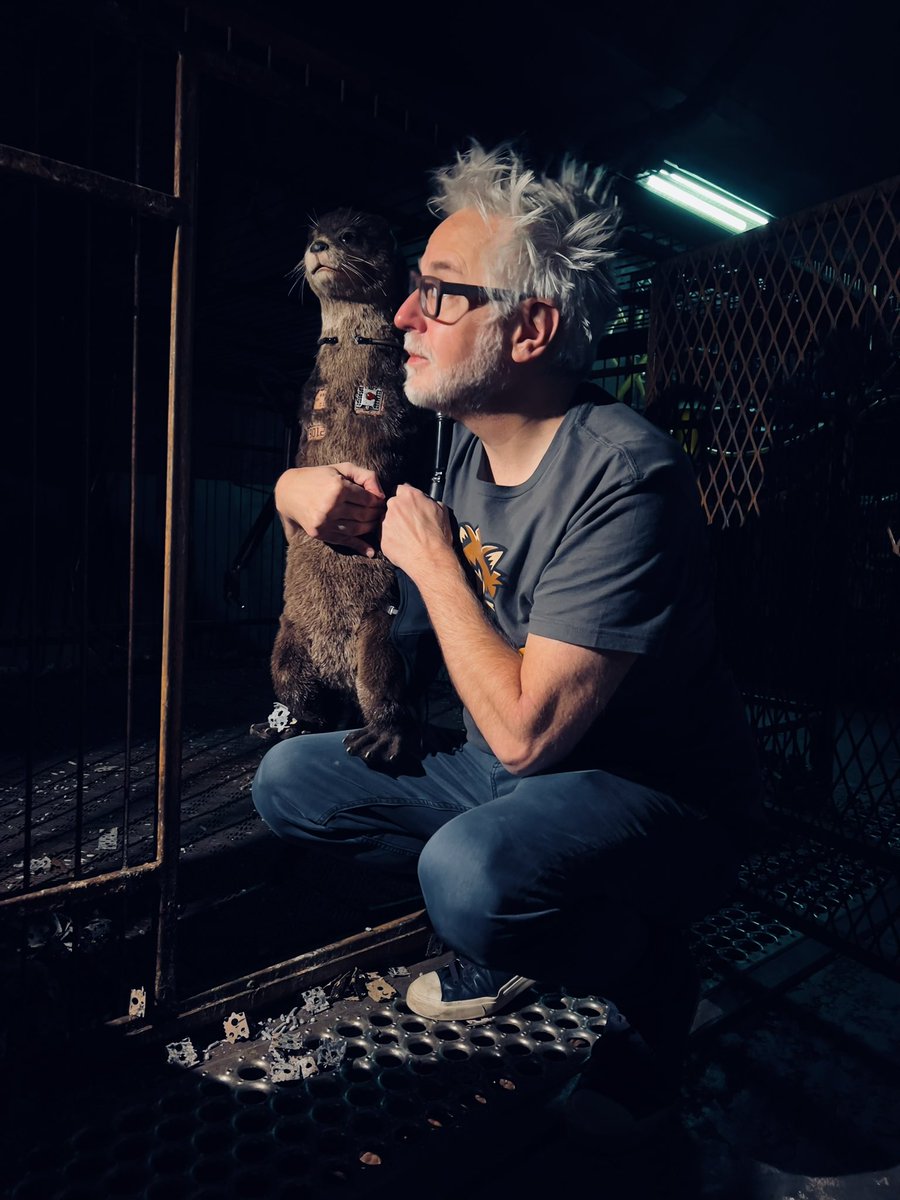 James Gunn tweet media