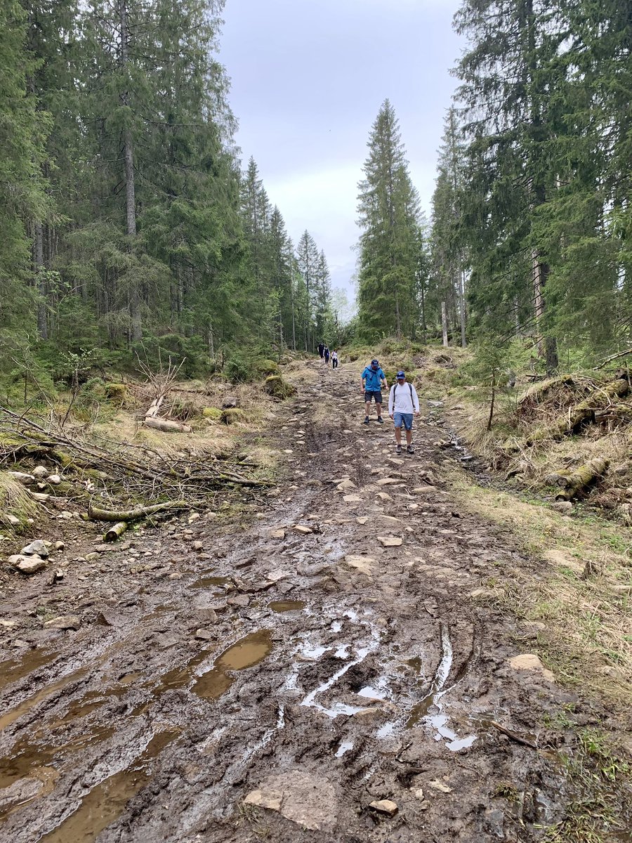 Great to host the Meaningfulness in Youth Sport team for the last transnational project meeting