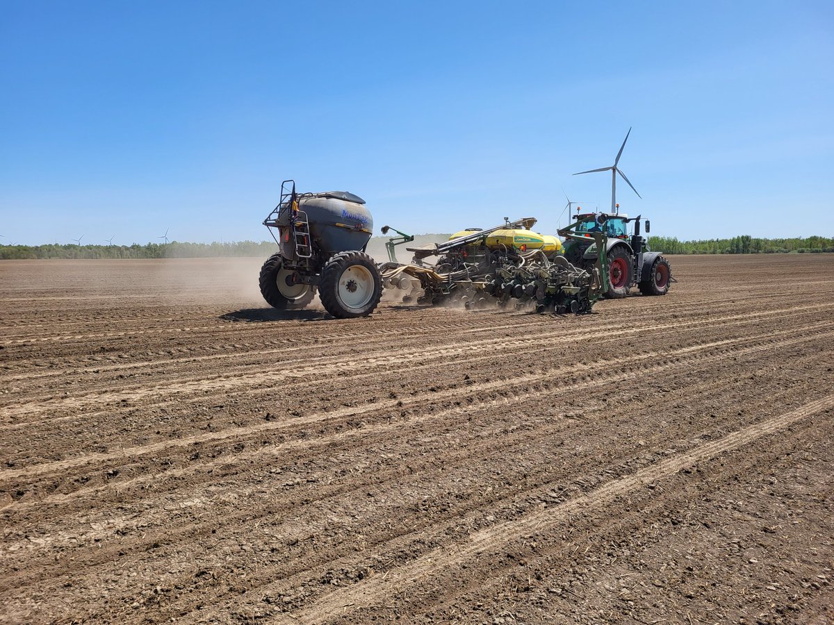 Beauty day getting into the home stretch of corn