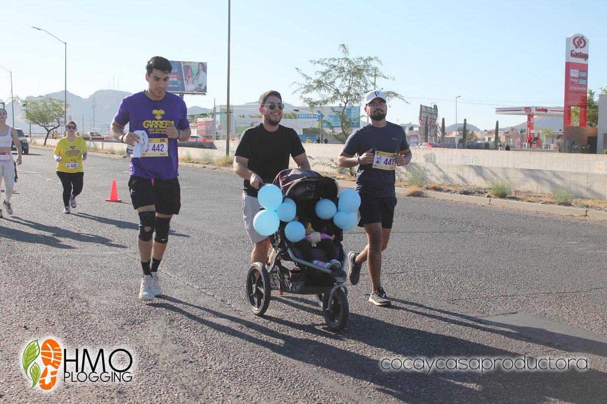 Hermosillo Plogging tweet media