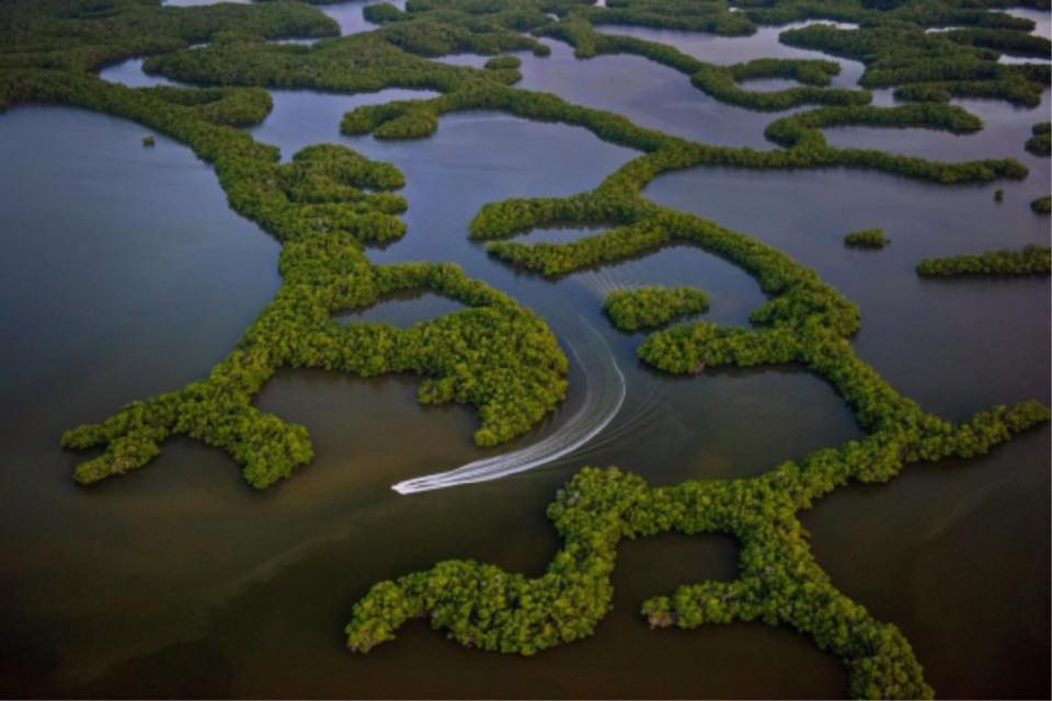 EvergladesNPS's tweet image. Excited about getting out on the water? Boating and fishing in Everglades National Park is a favorite pastime for many! 

Photo by Carlton Ward (@CarltonWard ) 

#SafeBoatingWeek #Everglades #EvergladesNationalPark #FindYourPark #EncuentraTuParque