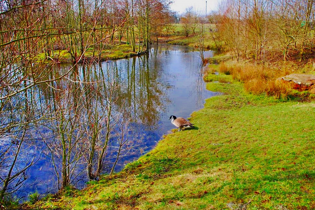 TheSuffolkMan's tweet photo. #NeedhamLake @FingerpostFri https://t.co/sbxRkj3Lja