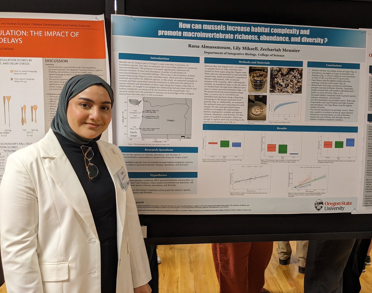 Very proud of my undergraduate mentee Rana for her efforts during her URSA Engage internship!! We're studying the diversity of invertebrates living in mussel beds along the Oregon coast. She presented her first research poster at Celebrating Undergraduate Excellence! @ursaosu