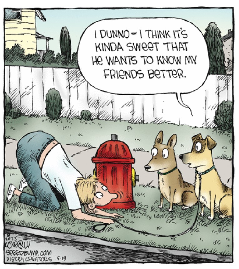🤣 Wants To Know Dog's Friends Better 🐶

#comics #cartoon #lol #comedy #jokes #humor #hilarious #laughter #funny #fun #smile #dogs #doggy #dogsoftwitter #mydogiscutest  #doglover #puppy #dogsarelove #lovemydog #dogslife #dogsarefamily #puppylove #pets #animallovers #animals