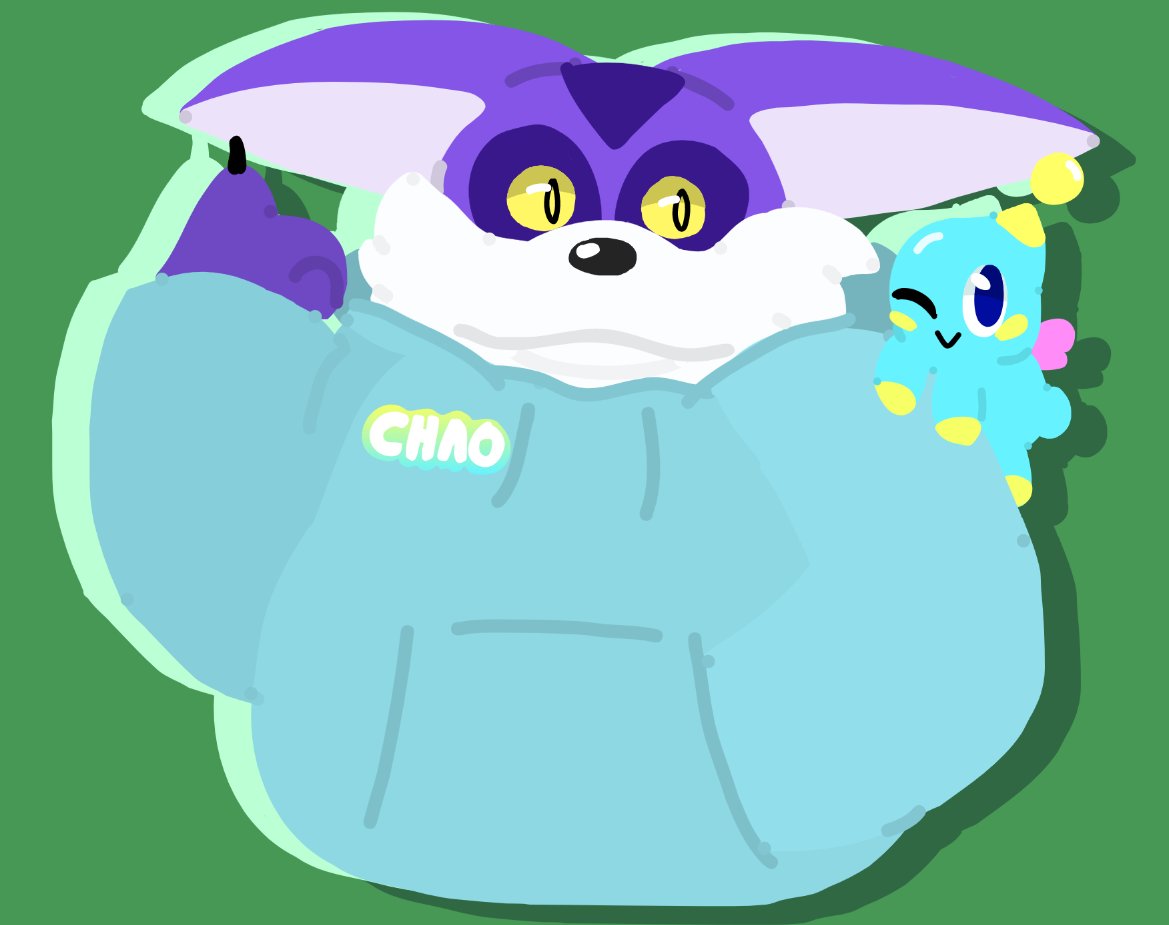 Big the Cat but with a hoodie. Just a thought I had for months. #sonicfanart #bigthecat #chaofanart #chao